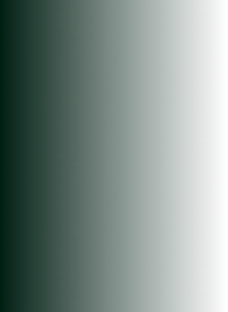 Overlay de transição